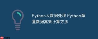 Python大数据处理 Python海量数据高效计算方法