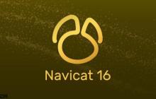 Navicat导入大文件内存不足大文件导入时的内存优化配置技巧