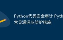 Python代码安全审计 Python常见漏洞与防护措施