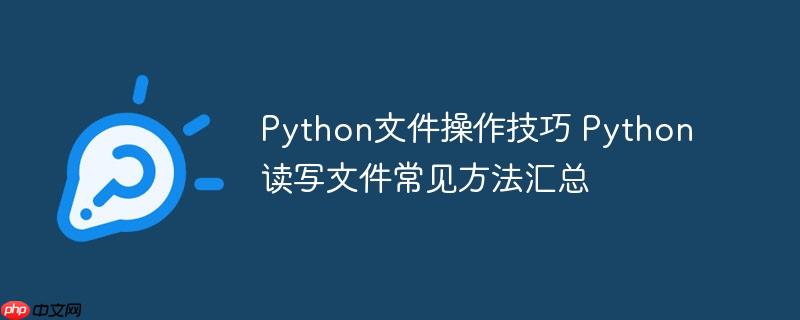 Python文件操作技巧 Python读写文件常见方法汇总