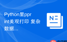 Python里pprint美观打印 复杂数据结构美观输出pprint的格式化