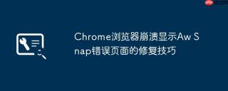 Chrome浏览器崩溃显示Aw Snap错误页面的修复技巧