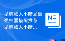龙魂旅人小暗龙最强神器搭配推荐 龙魂旅人小暗龙用什么神器