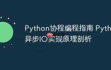 Python协程编程指南 Python异步IO实现原理剖析