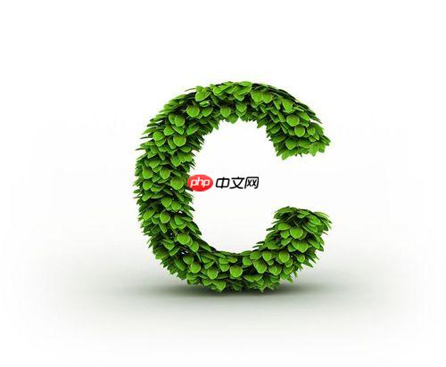C++的auto关键字怎么用？能推导什么？