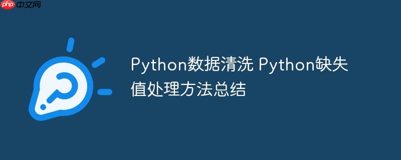 Python数据清洗 Python缺失值处理方法总结
