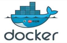 怎样进入正在运行的docker容器? exec命令如何使用?