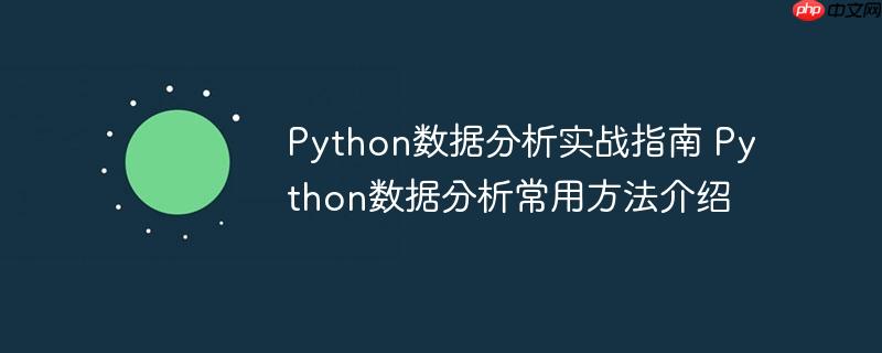 Python数据分析实战指南 Python数据分析常用方法介绍