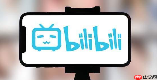 哔哩哔哩如何关闭公开拥有的个性装扮 哔哩哔哩关闭公开拥有的个性装扮方法分享