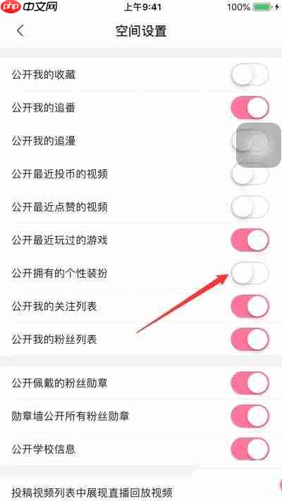 哔哩哔哩如何关闭公开拥有的个性装扮 哔哩哔哩关闭公开拥有的个性装扮方法分享