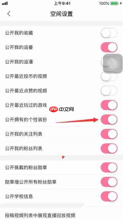 哔哩哔哩如何关闭公开拥有的个性装扮 哔哩哔哩关闭公开拥有的个性装扮方法分享