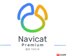 Navicat执行脚本报语法错误脚本语法错误的快速定位与修正