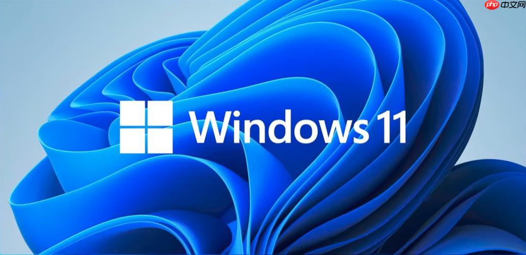 win11系统通知不显示怎么办 win11系统通知不显示解决指南