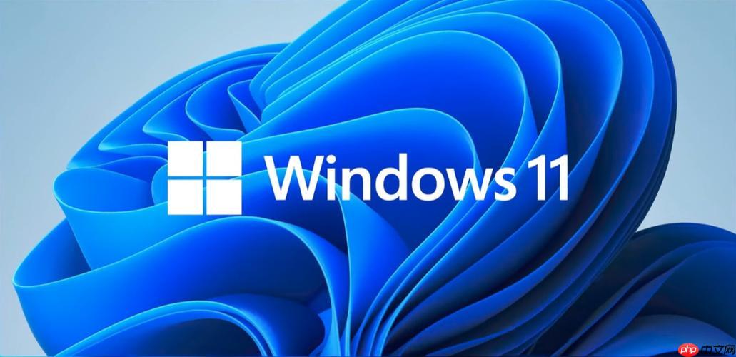 win11蓝屏频繁出现怎么办 win11蓝屏问题彻底解决方法