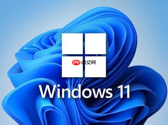 win11应用兼容性问题怎么办 win11应用兼容性问题解决技巧