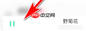 豆瓣fm怎么开启单曲循环 豆瓣fm设置单曲循环操作一览
