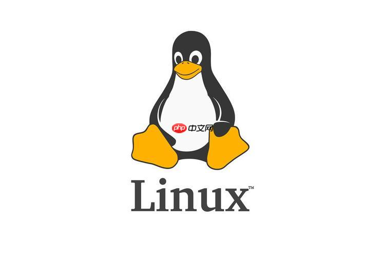 解決Linux磁盤"I/O error"檢測與修復策略-小浪學習網