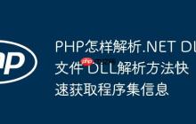 PHP怎樣解析.NET DLL文件 DLL解析方法快速獲取程序集信息