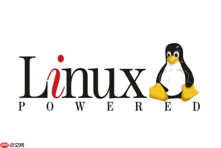 排查Linux中\