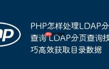 PHP怎樣處理LDAP分頁(yè)查詢 LDAP分頁(yè)查詢技巧高效獲取目錄數(shù)據(jù)