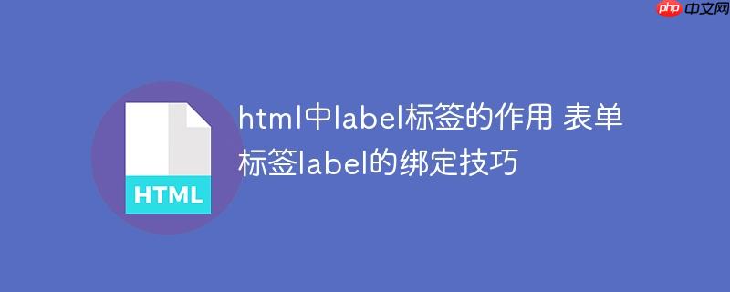 html中label标签的作用 表单标签label的绑定技巧