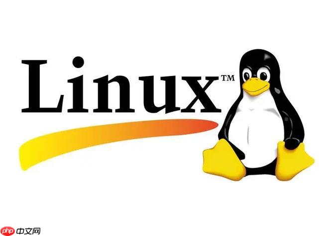 如何解决Linux网络\