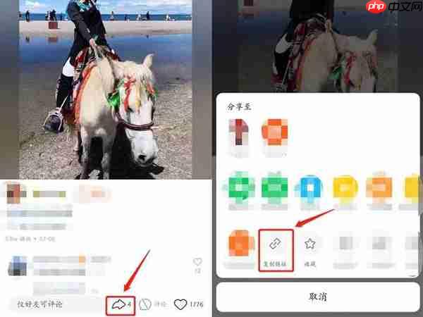 快手如何保存无水印图片 快手保存无水印图片操作方法
