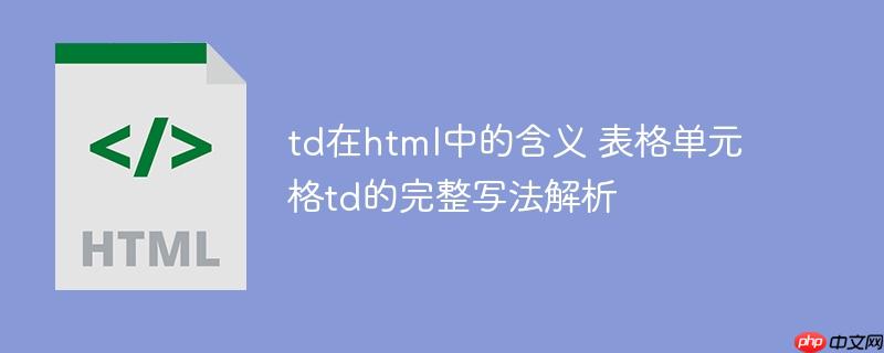 td在html中的含义 表格单元格td的完整写法解析