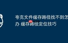 夸克文件缓存路径找不到怎么办 缓存路径定位技巧