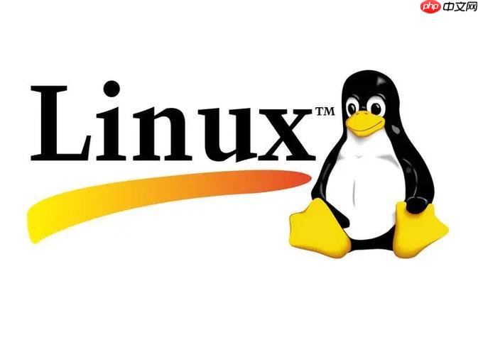 如何解决Linux系统\