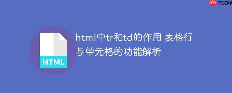 html中tr和td的作用 表格行與單元格的功能解析-小浪學習網