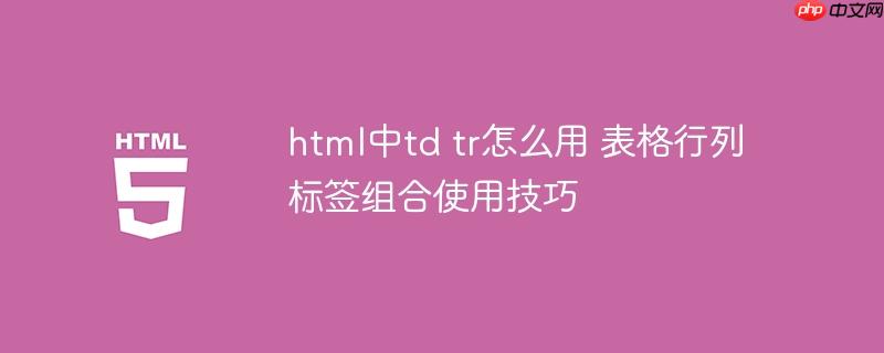 html中td tr怎么用 表格行列标签组合使用技巧