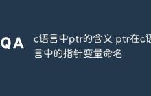c语言中ptr的含义 ptr在c语言中的指针变量命名