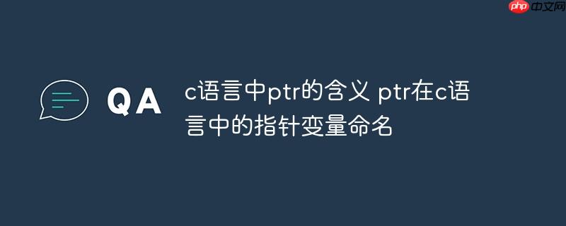 c语言中ptr的含义 ptr在c语言中的指针变量命名
