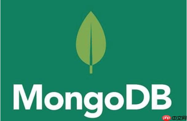 MongoDB索引优化技巧有哪些 这些索引优化技巧让你的查询速度提升10倍