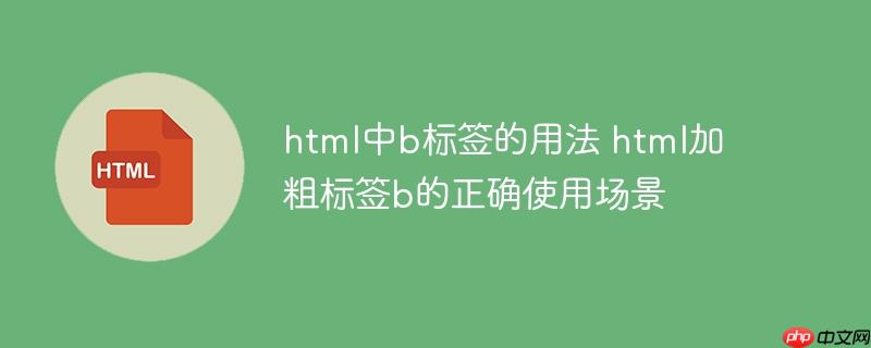 html中b标签的用法 html加粗标签b的正确使用场景-小浪学习网