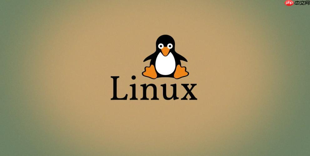 修复Linux服务器\