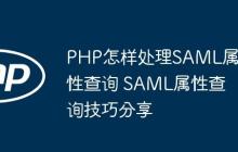 PHP怎样处理SAML属性查询 SAML属性查询技巧分享