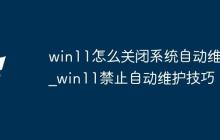 win11怎么关闭系统自动维护_win11禁止自动维护技巧