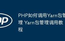 PHP如何调用Yarn包管理 Yarn包管理调用教程