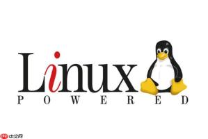 解决Linux命令\