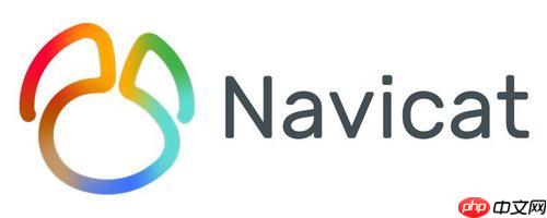 Navicat查询速度慢如何优化查询性能优化的6个实用技巧分享