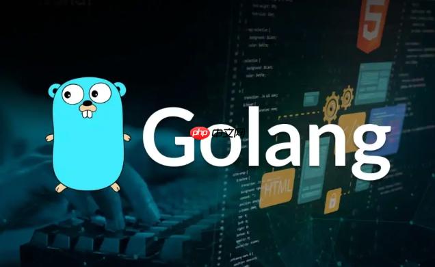 Golang怎么使用结构体标签 Golang结构体技巧详解
