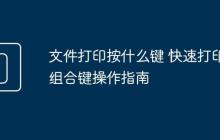 文件打印按什么键 快速打印组合键操作指南