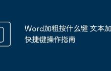 Word加粗按什么键 文本加粗快捷键操作指南