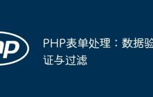 PHP表单处理:数据验证与过滤