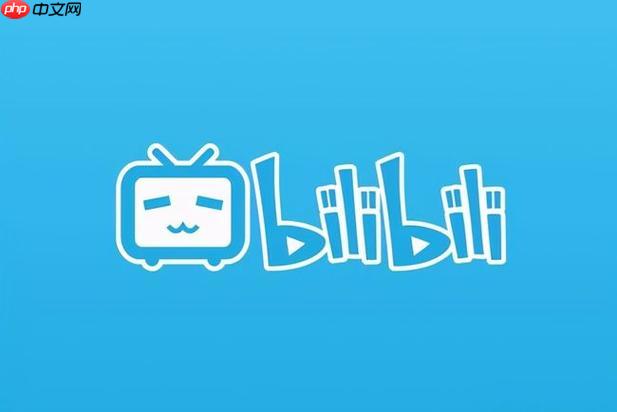 B站怎么调整音量 单独视频音量控制设置教学