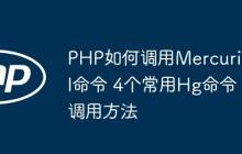 PHP如何調(diào)用Mercurial命令 4個(gè)常用Hg命令調(diào)用方法