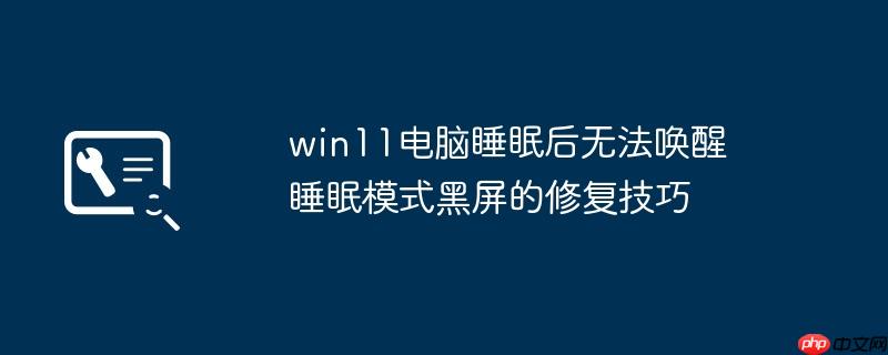 win11电脑睡眠后无法唤醒 睡眠模式黑屏的修复技巧
