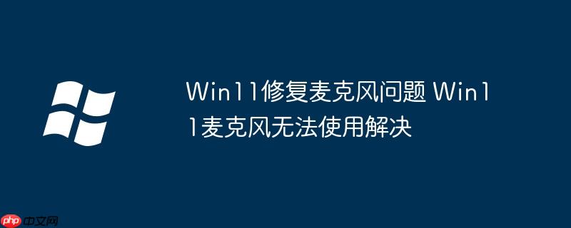 Win11修复麦克风问题 Win11麦克风无法使用解决
